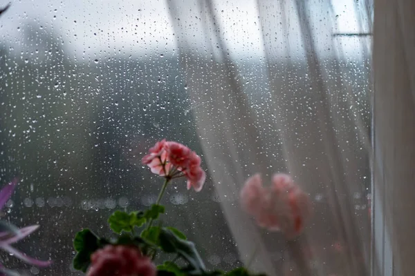 Rain drops on window glass — Stock Photo, Image