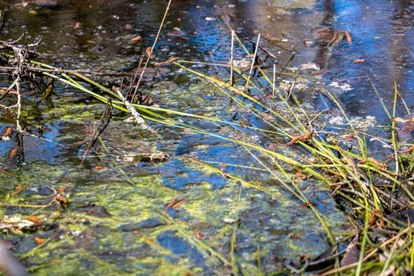 Water textuur met reflecties en rotsen op de bodem van de beek — Stockfoto