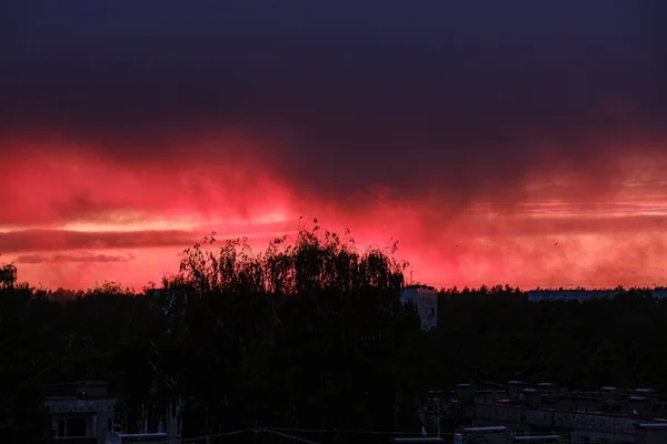 Nuvens vermelhas dramáticas névoa sobre árvores no por do sol — Fotografia de Stock