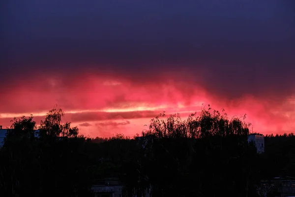 Dramatiska röda moln dimma över träd på solnedgången — Stockfoto