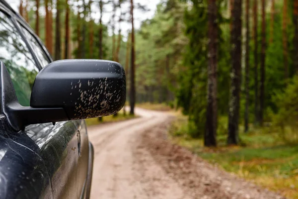 car rear view mirror in wild nature