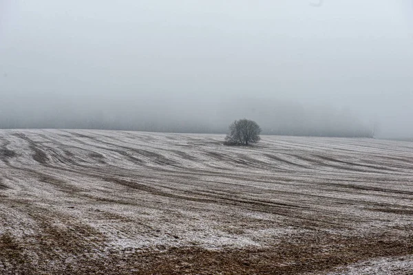 Neblige Felder und Wiesen mit Schnee im Winter — Stockfoto