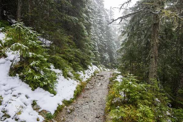 Vlhká vlhká turistická stezka se sněhovými zbytky po stranách — Stock fotografie