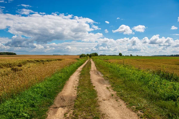 Simple countryside dirt road in spring — Stock Photo, Image