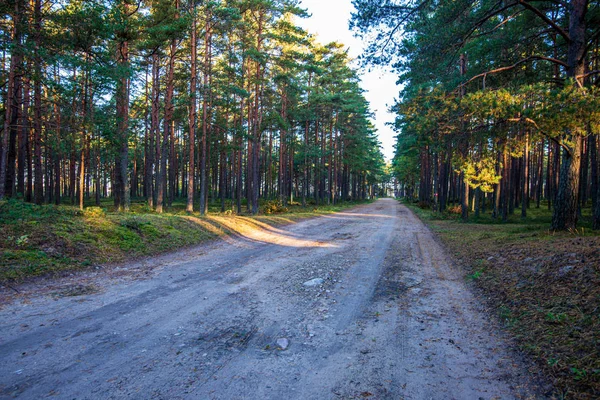 Simple countryside dirt road in spring — Stock Photo, Image