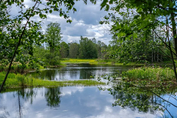 Rzeka w lecie zielone brzegi z odbicia drzew w wodzie — Zdjęcie stockowe