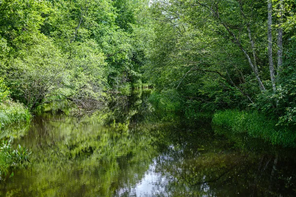 Řeka v létě zelené břehy s odrazky stromů ve vodě — Stock fotografie