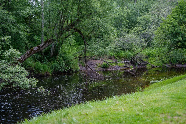 Rivière en été rivages verts avec des reflets d'arbres dans l'eau — Photo