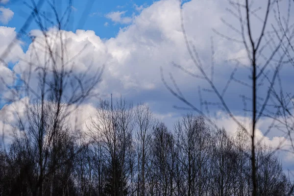 Landelijk landschap onder blauwe lucht en dramatische witte wolken — Stockfoto