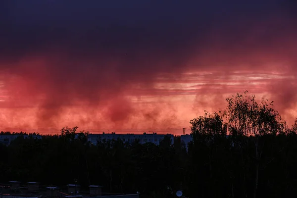 Dramatické Rudé mraky, mlha nad stromy při západu slunce — Stock fotografie
