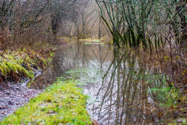 Rivière en été rivages verts avec des reflets d'arbres dans l'eau — Photo