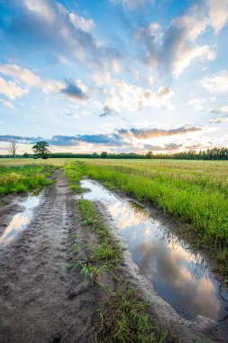 ilkbaharda basit kırsal kir yol