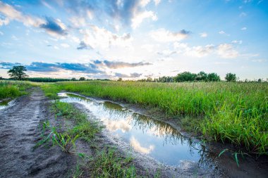 ilkbaharda basit kırsal kir yol
