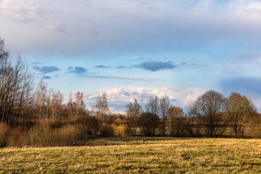 Mavi gökyüzü ve dramatik beyaz bulutlar altında kırsal alan