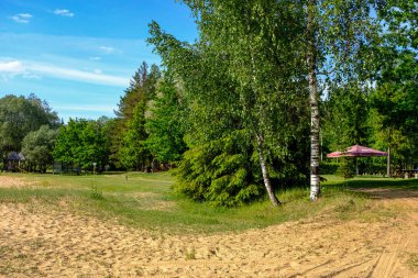 turistler için ormanda güneşli yaz yürüyüş yolu patika