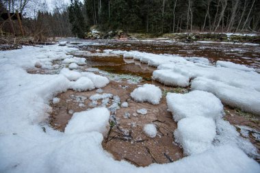 loş kış gününde gölde donmuş buz parçaları
