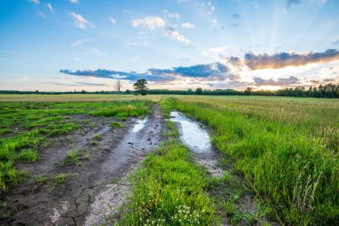 ilkbaharda basit kırsal kir yol