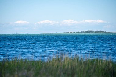 akarsu dibinde yansımaları ve kayalar ile su dokusu