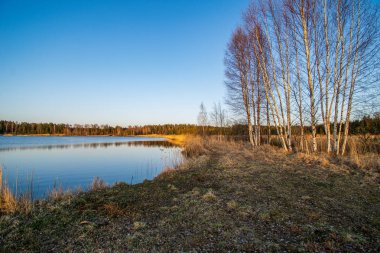 çayır ve mavi w yeşil yeşillik çim ile göl tarafından bahar
