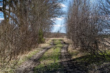 Islak, nemli, turist yolu kenarlarında kar artıklarıyla.