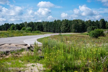 turistler için ormanda güneşli yaz yürüyüş yolu patika