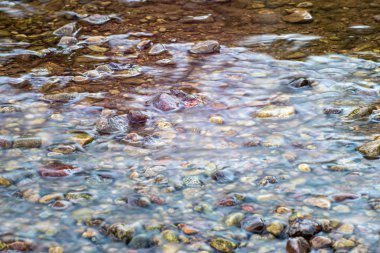 akarsu dibinde yansımaları ve kayalar ile su dokusu