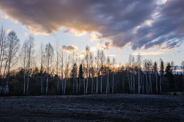 Paisaje rural bajo cielo azul y nubes blancas dramáticas — Foto de Stock