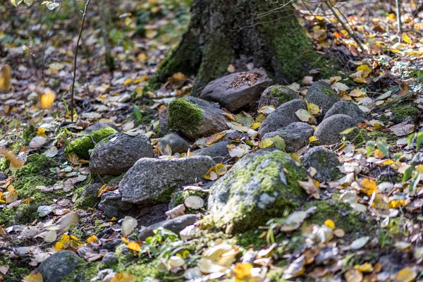 Grote rots in zand op het platteland — Stockfoto