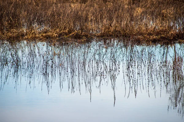 Floden i sommar gröna stränder med träd reflektioner i vatten — Stockfoto