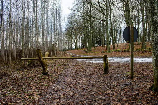 Wet damp hiking tourist trail with snow leftovers on the sides — 스톡 사진