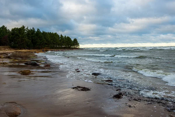 Windy sea beach with white sand and blue water — Stock Photo, Image