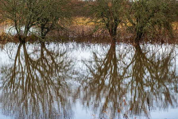 Rivier in de zomer groene oevers met boom reflecties in water — Stockfoto