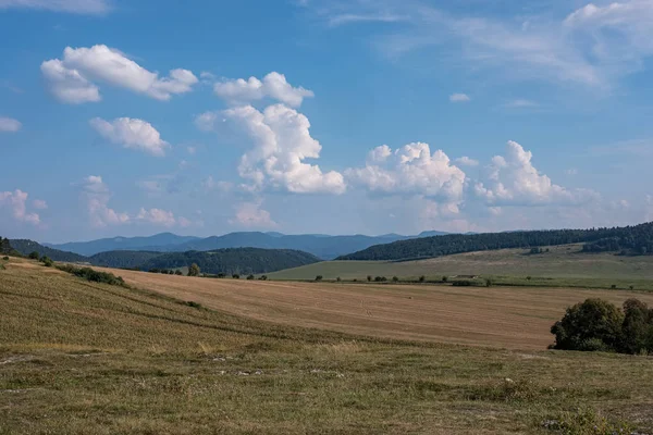 青空の下の田園風景と劇的な白い雲 — ストック写真