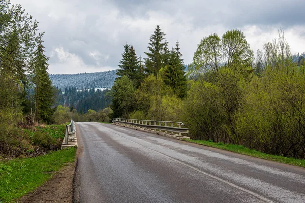 Simple countryside dirt road in spring — Stock Photo, Image