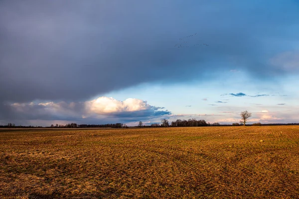 Деревенский пейзаж под голубым небом и впечатляющие белые облака — стоковое фото