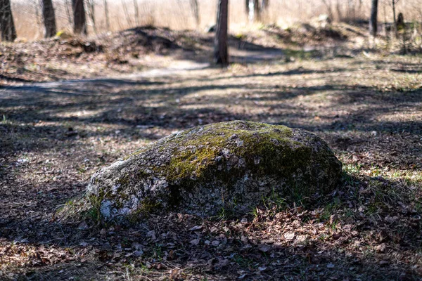 Велика скеля в піску в сільській місцевості — стокове фото