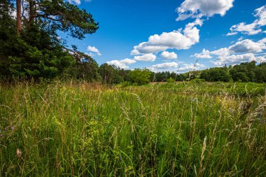 kırsal manzara üzerinde beyaz bulutlar ile mavi gökyüzü