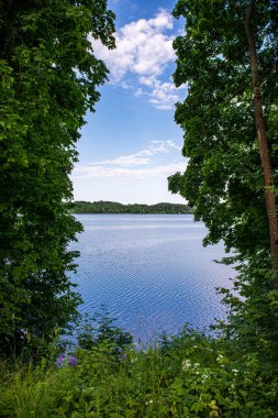 ağaçlar ve yeşil foliag yansımaları ile derin karanlık orman gölü