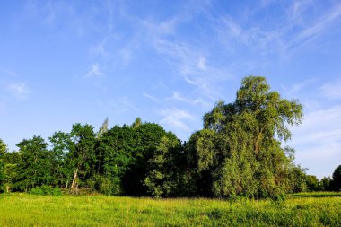 kırsal manzara üzerinde beyaz bulutlar ile mavi gökyüzü