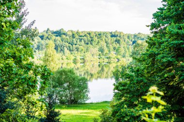 ağaçlar ve yeşil foliag yansımaları ile derin karanlık orman gölü