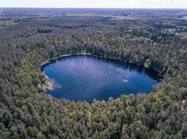 orman alanında yeşil gölün havadan drone görünümü