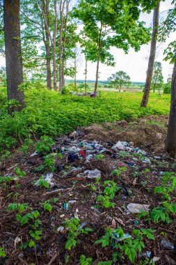yaz aylarında orman ormanda yasadışı çöplük