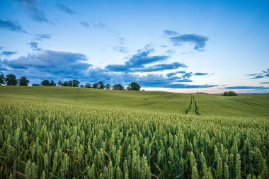 kırsal manzara üzerinde beyaz bulutlar ile mavi gökyüzü