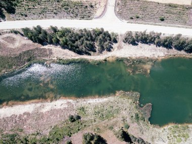 orman alanında yeşil gölün havadan drone görünümü