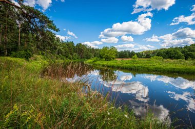 kırsal manzara üzerinde beyaz bulutlar ile mavi gökyüzü