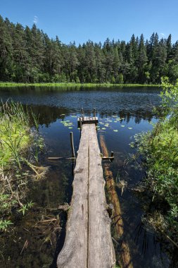 güzel ahşap tahta boardwalk yeşil shor ile mavi göl içine eğilir