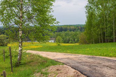 yaz güneşi rahatlama için yeşil orman parkı yaktı