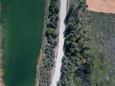 orman alanında yeşil gölün havadan drone görünümü
