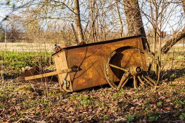 yaz aylarında orman ormanda yasadışı çöplük
