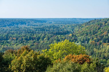 yaz güneşi rahatlama için yeşil orman parkı yaktı